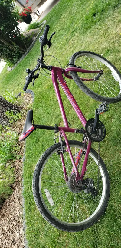Please text or call (403) 671-1609. Great condition. 21 speed very light.