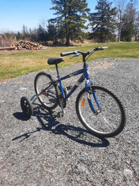 24 inch bicycle modified for special needs