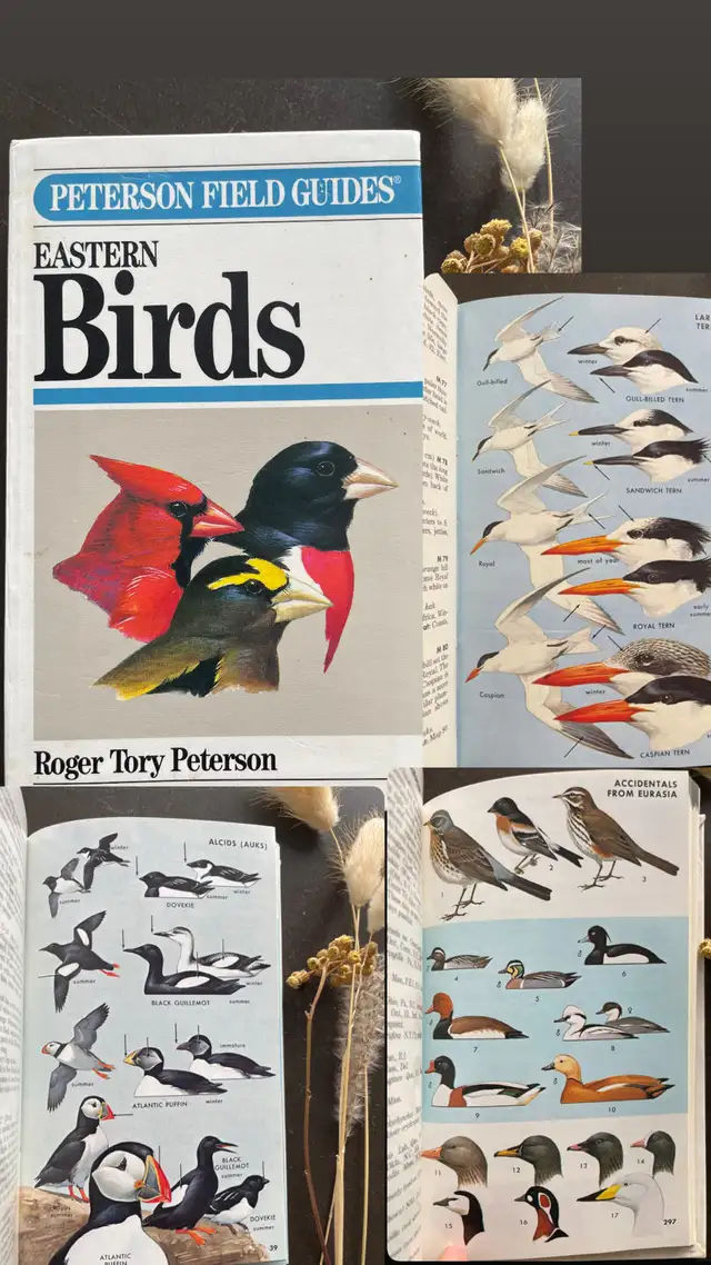  A Field Guides to the Eastern & Central North America Bir