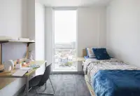 Private Bedroom in 2 Bedroom Apartment - SUMMER SUBLET