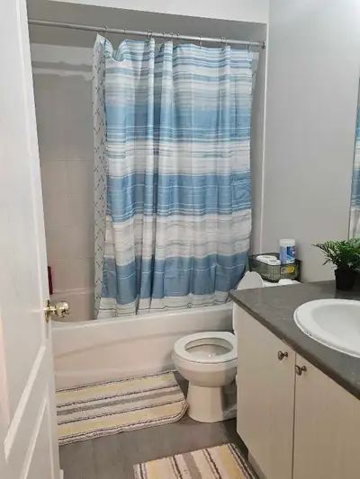 Room to Rent, View more
