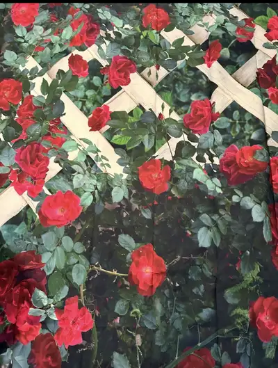 Red Flower, Green and Lattice Backdrop Size 8’ x 10’ For Photography Spring Photo Backdrop Green Lea...