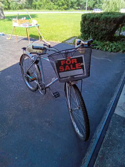 This bike has chrome fenders, horn, is a 6 speed, has a sheepskin seat, plus rear carrier and a fron...