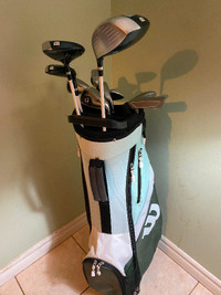 Wilson Profile Golf Club.  Full set with covers and cart bag