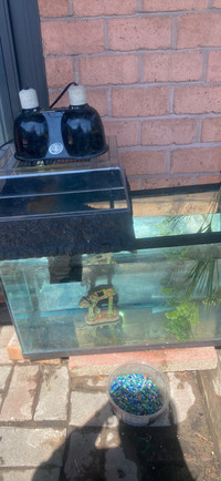 Aquarium 30 gallon for turtle