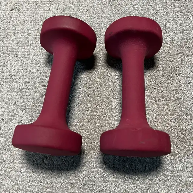8 lbs weights in Exercise Equipment in Ottawa - Image 3