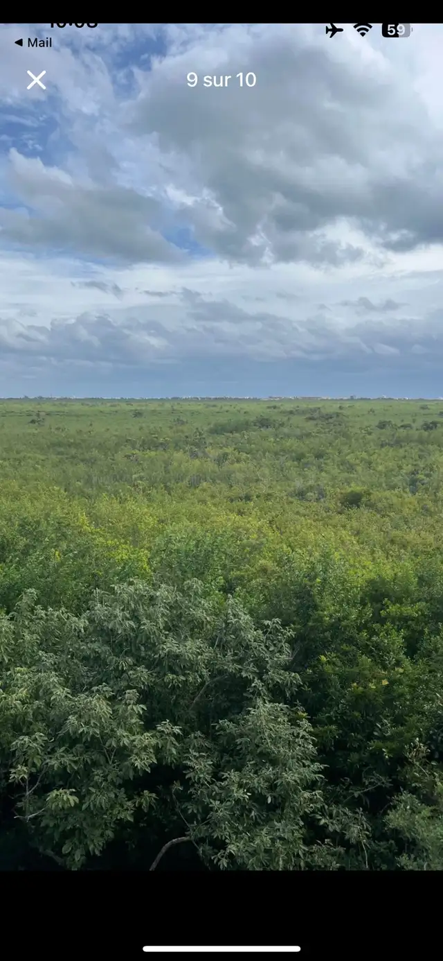 Land ready to build in Puerto Morelos, Mexico63234703942913122