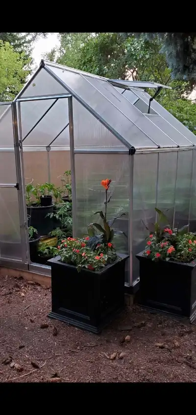 Hobby Greenhouse, View more