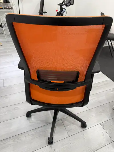 Novo High-Back Ergonomic Office Chair, View more