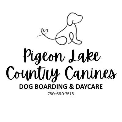 Pigeon Lake Country Canines, View more