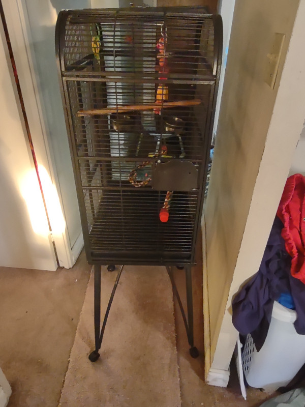 Large Cage for Birds available for sale Birds for Rehoming