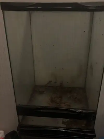 reptile tanks need gone, View more