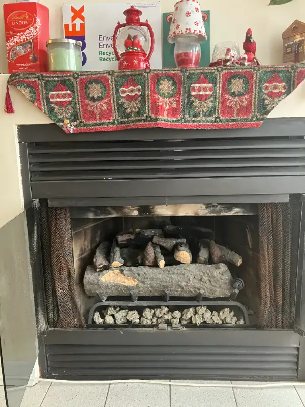 Insert Set for Fireplace Gel Fuel Concrete Fire Log in Fireplace & Firewood in City of Montréal - Image 2