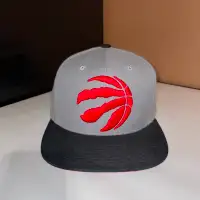 Mitchell & Ness Toronto Raptors Snapback Hat/Cap (Gray, Men's)