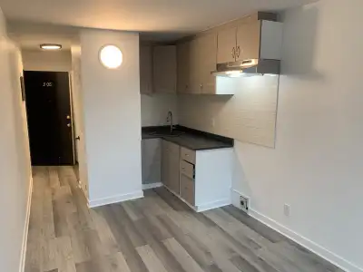 Studio – Papineau – Disponible dès maintenant – 995$