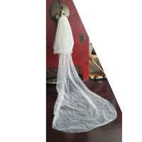 NEW Champagne Coloured Cathedral Long Wedding Veil