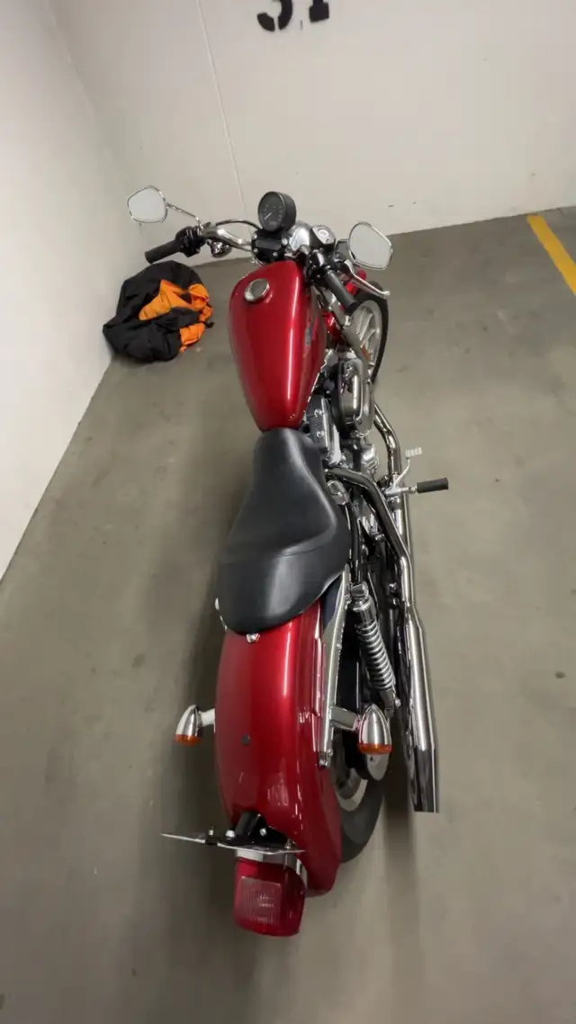 2007  Harley Davidson Sportster xl883 in Street, Cruisers & Choppers in Kelowna - Image 6