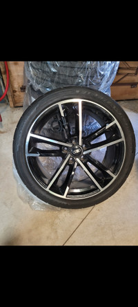 Audi S6 Mags and Tires