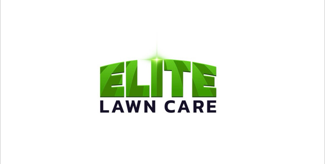 Lawn Care in Lawn, Tree Maintenance & Eavestrough in Ottawa