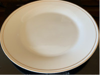 12 Dinner plates