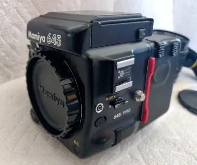 Mamiya 645 Pro with WLF - 55mm f2.8, View more