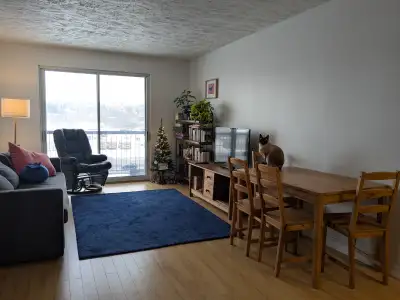 Grand 4 1/2 dans Limoilou-Maizerets en bordure de Charlesbourg libre pour le 1er février! - Un locke...