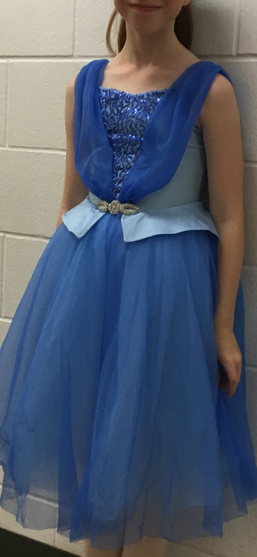 Halloween costume Princess girls size 10/11, View more