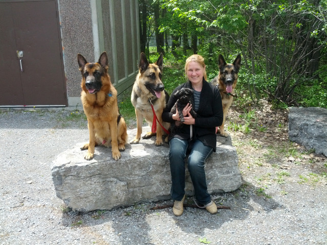 Dog training at the convenience of your home. in Animal & Pet Services in Ottawa - Image 3