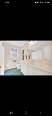 Bathroom tubs, cabinets,  mirrors,  shower door