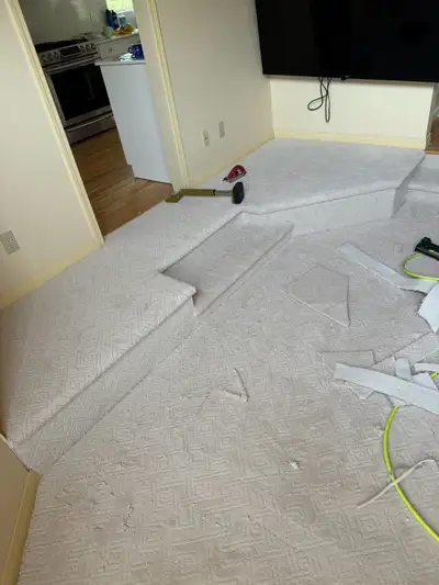 Carpet Supply and Installation, View more