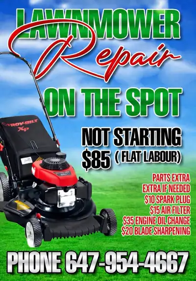 lawnmower re pair on the spot ( mobile )( house calls ), View more