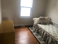 Executive room for Rent