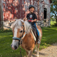 Horse Back Riding Lessons