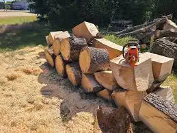 We are taking down around 15 trees in our yard if anyone wants them for firewood. I can load them on...