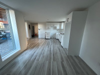 $1,600 / 2br - 1500ft 2 - Newly renovated 4.5 (with back yard & 