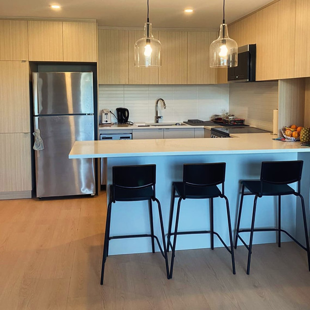 3 1/2 Apt renove centre-ville | 3 1/2 renovated downtown apt dans Locations longue durée  à Ville de Montréal