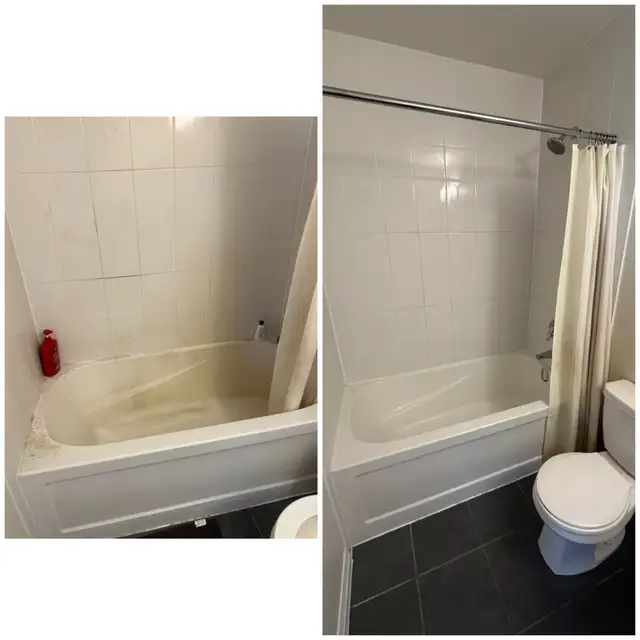 Cleaning lady538899691540336641