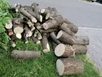 Free firewood very nicely cut maple wood. Lots of it. See pics.