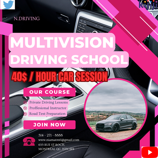 PRIVATE CAR LESSONS556558667566305281