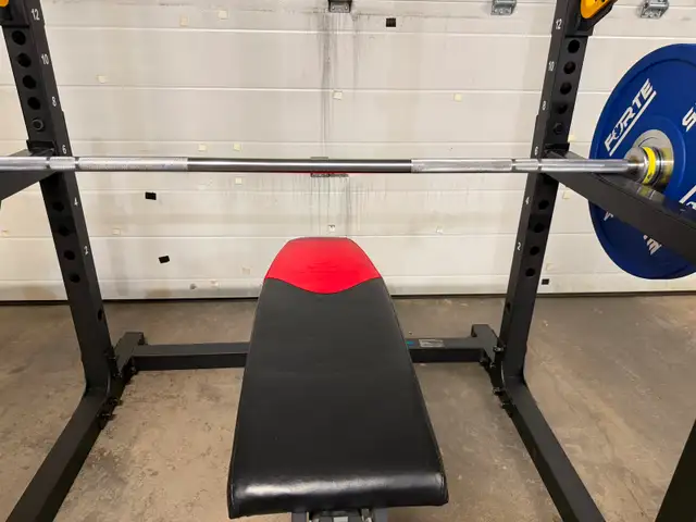 Olympic Barbell, Plate, Powertec Rack and Bench504471378849310724