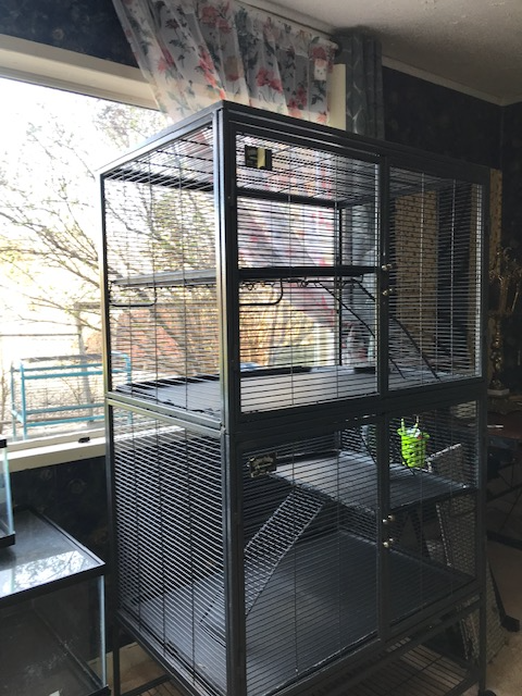 Used Double Critter Nation Cage for Sale in Accessories in Vernon - Image 3