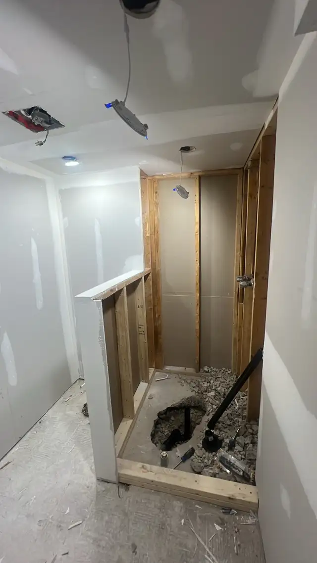 Painting , Home Reno , Handy Man, Lighting