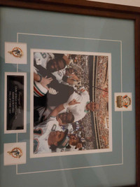 Miami Dolphins Don Shula sign photo framed
