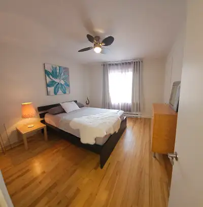 Magnifique 4 1/2 ( 2 chambres) à louer TOUT INCLUS