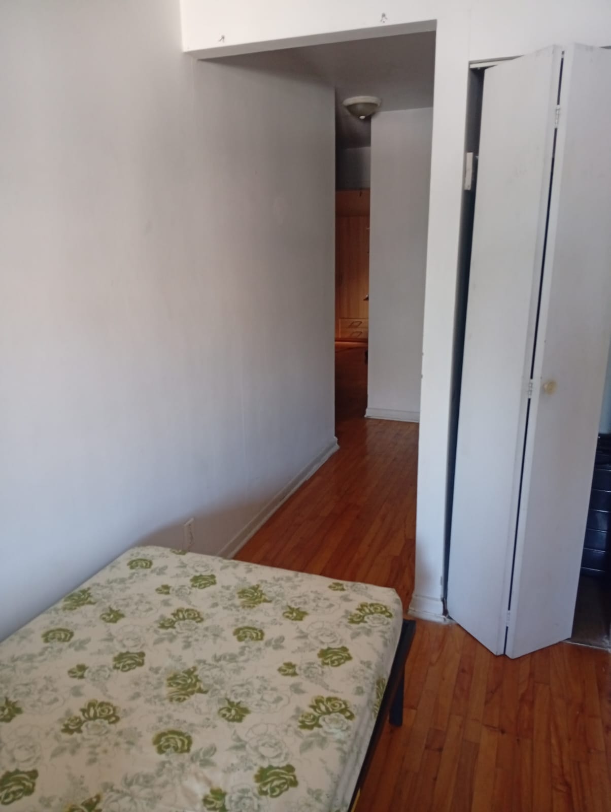 salon Sous-location 3 et demi — photo 2
