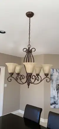 5 bulb chandelier (wrought iron with glass shades)