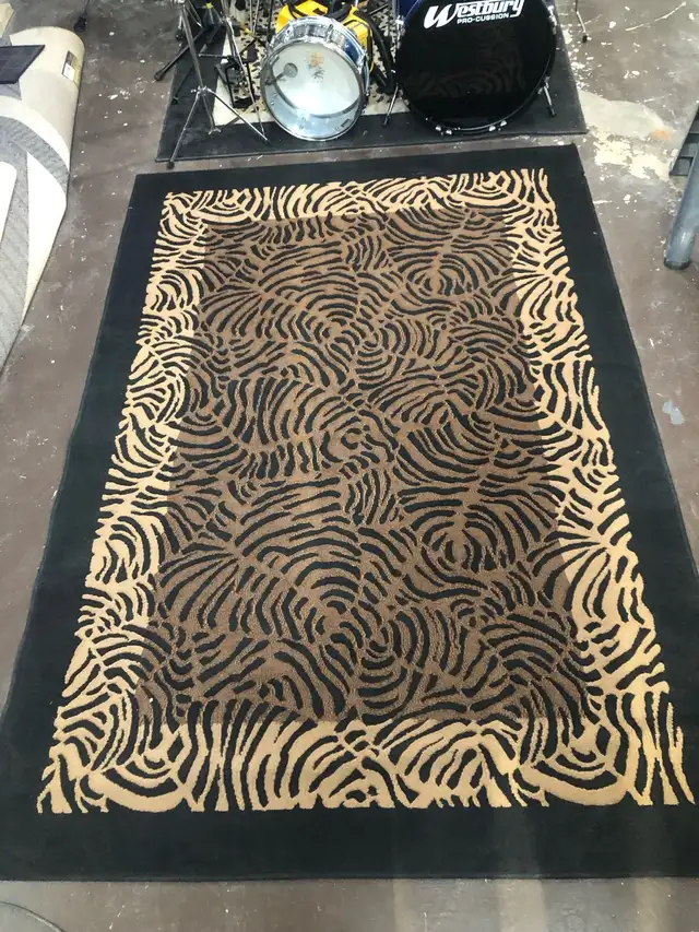 Area Rug in Rugs, Carpets & Runners in Ottawa - Image 3