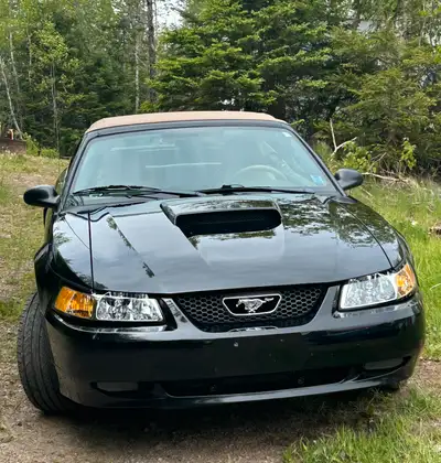 2003 Mustang Convertible GT 4.6 V8 5 speed with 234Km. Has AC, all new brake disc and pads, new batt...