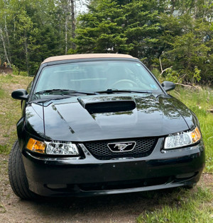 2003 Ford Mustang Convertible