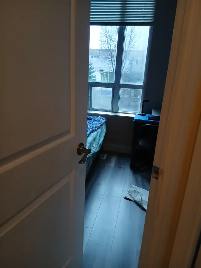 ROOM RENT IN MISSISSAUGA SQ 1 FOR SINGLE PERSON